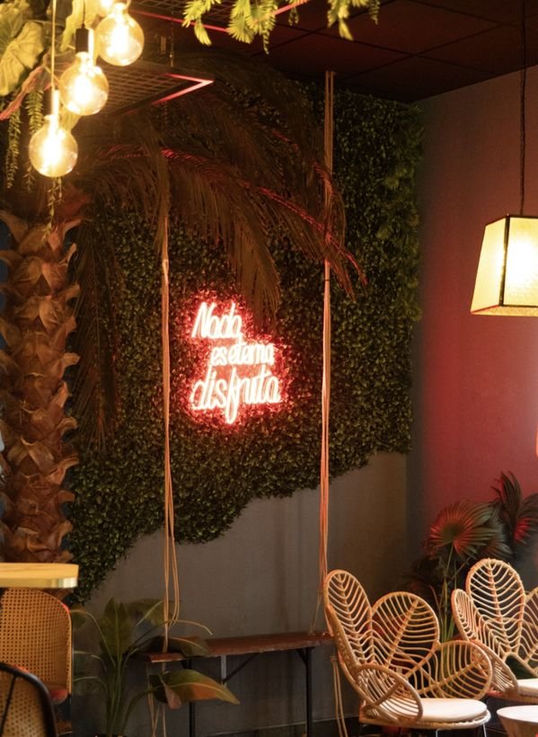 Interior con jardín vertical