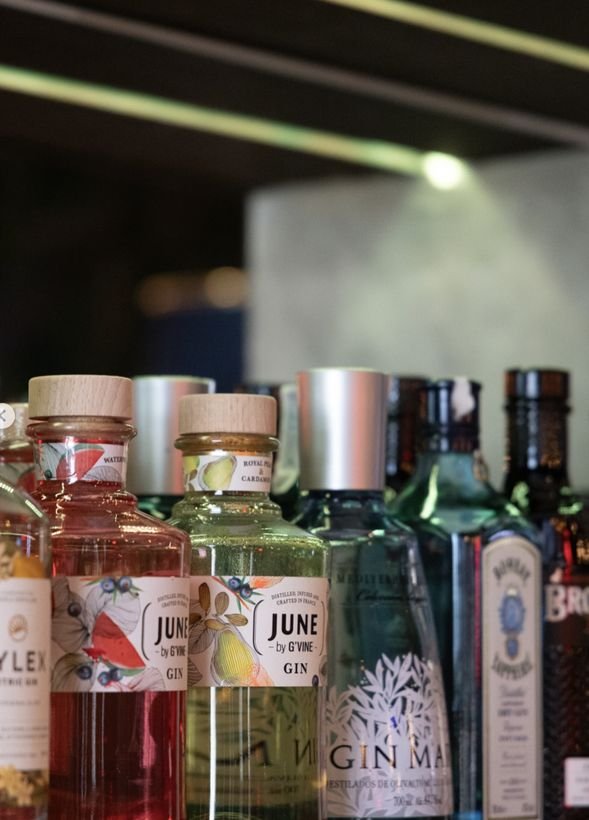 Selección de ginebras premium